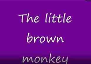 II.10 Little brown monkey